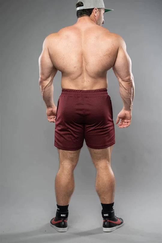 Iron Rebel IR Mesh Shorts